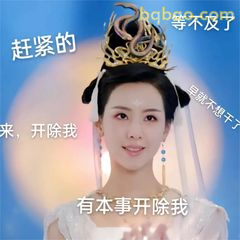 有本事开除我！