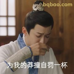 为我的莽撞自罚一杯