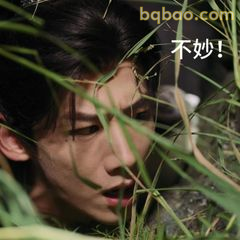不妙！草丛偷看紧张脸