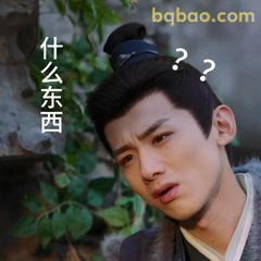 什么东西？一脸疑惑