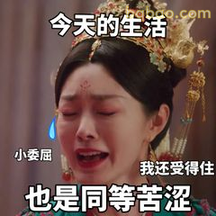 小委屈也是同等苦涩