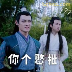 你个憨批？魏无羡蓝忘机疑问脸