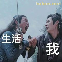 生活我！魏无羡怒吼表情包