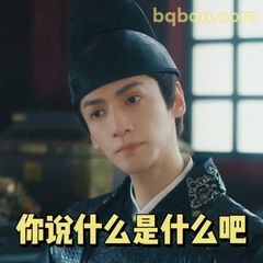 你说什么是什么吧