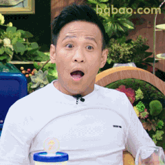 宋小宝震惊张嘴表情