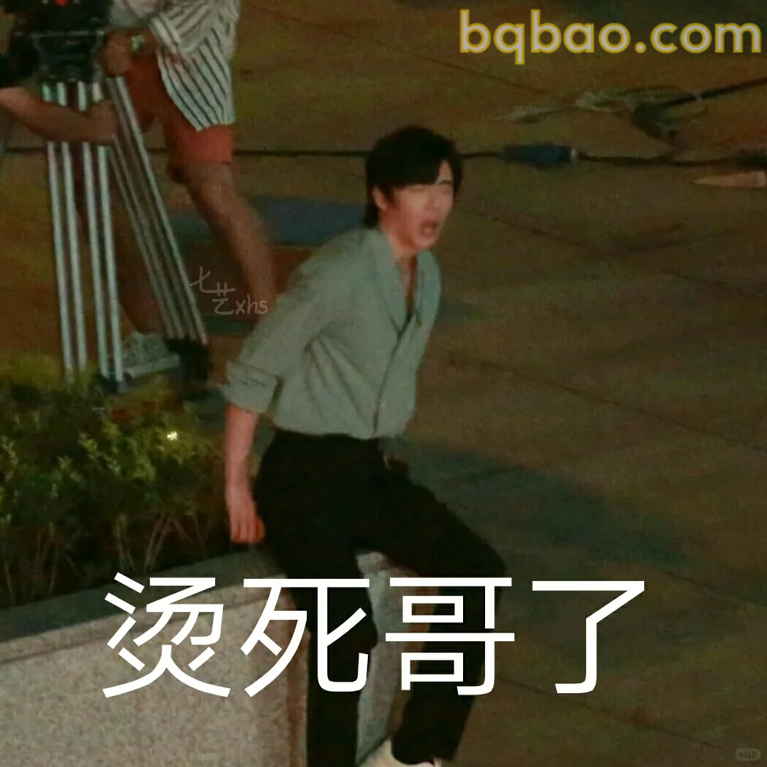 一念关山表情包