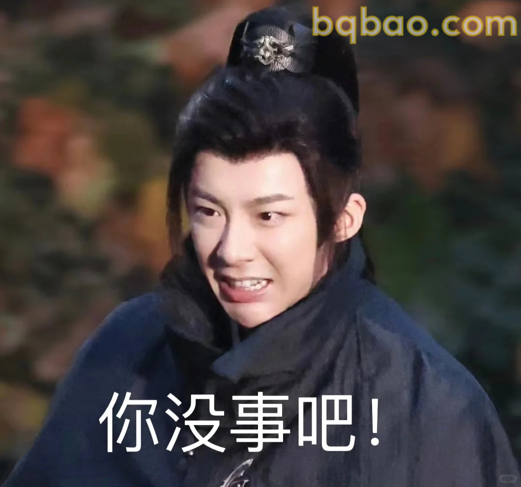 一念关山表情包