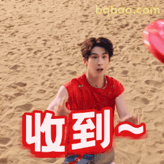 收到～张凌赫沙滩挥手