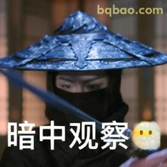 暗中观察·忍者风