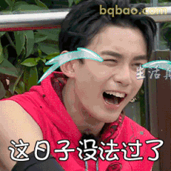 这日子没法过了