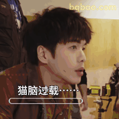 猫脑过载……