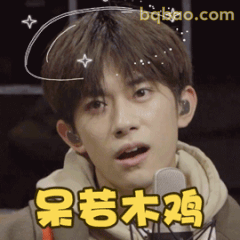 呆若木鸡·易烊千玺