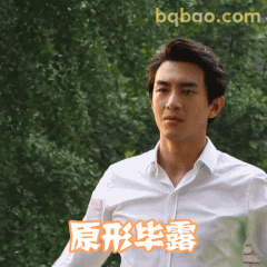 原形毕露·林更新