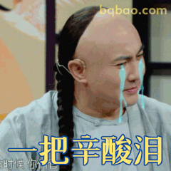 一把辛酸泪