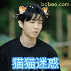 猫猫迷惑·王俊凯