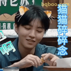 猫猫碎碎念啊～