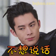 王鹤棣不想说话表情包