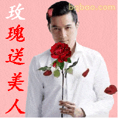 胡歌玫瑰送美人 持花深情表白