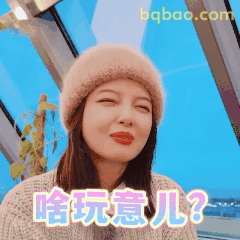 啥玩意儿？辛芷蕾疑惑脸