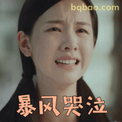暴风哭泣