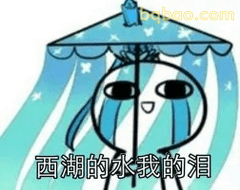 西湖的水我的泪