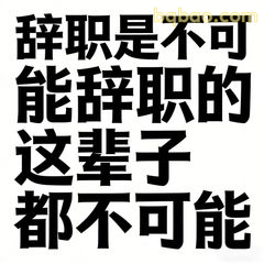 辞职是不可能辞职的这辈子都不可能