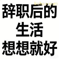 辞职后的生活想想就好
