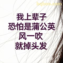 我上辈子恐怕是蒲公英