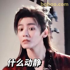 什么动静？侯明昊表情包