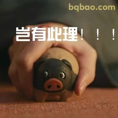 岂有此理！！！小猪玩偶