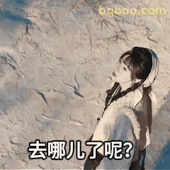 去哪儿了呢？