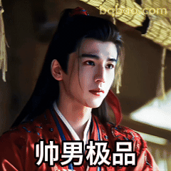 帅男极品