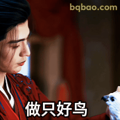 做只好鸟