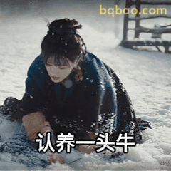雪地跪求认养一头牛