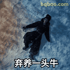 弃养一头牛躺雪地摆烂