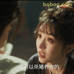 我可以杀猪养你的