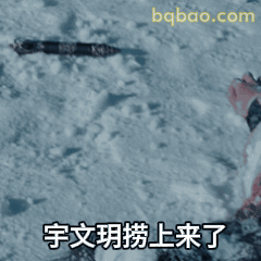 宇文玥捞上来了