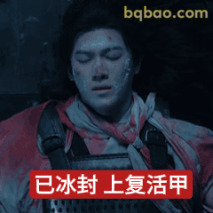 已冰封上复活甲