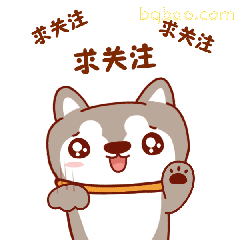 猫咪拜年求关注