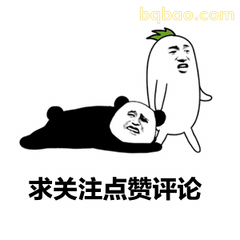 卑微自嘲求关注