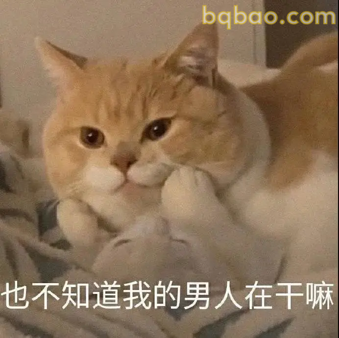 日常聊天表情包合集 4