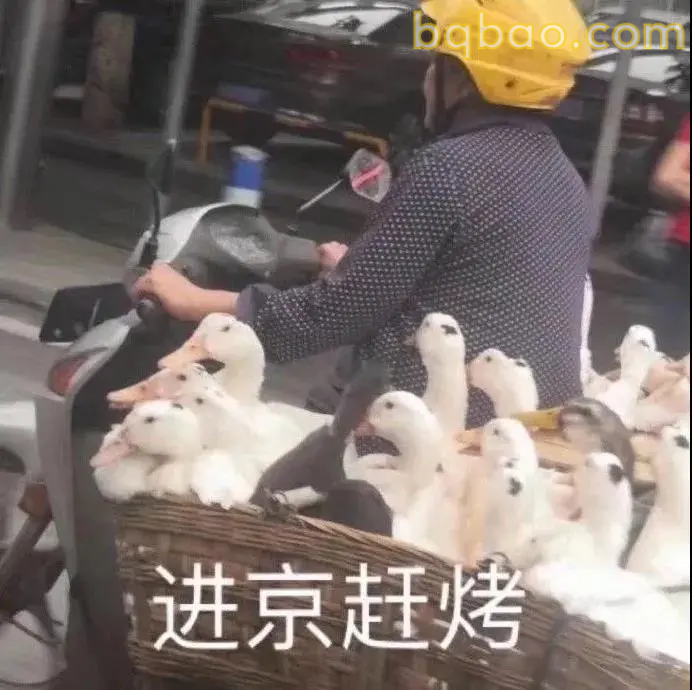 日常聊天表情包合集 8