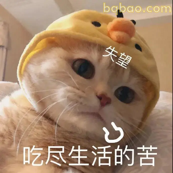 日常聊天表情包合集 10