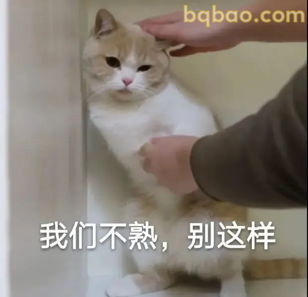 日常聊天表情包合集 17