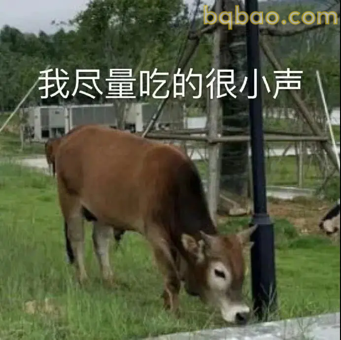 日常聊天表情包合集 20