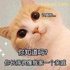 沙雕表情包合集 13