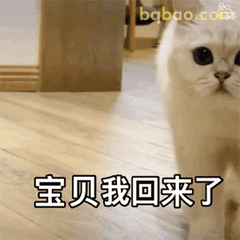 沙雕表情包合集 24
