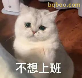 上班表情包合集 3