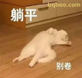 上班表情包合集 5