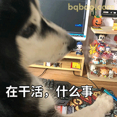上班表情包合集 14